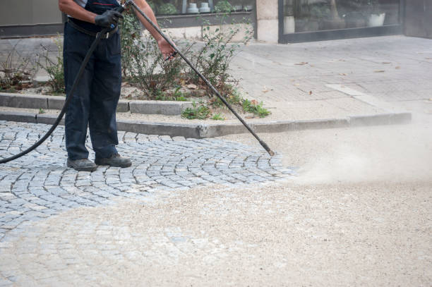 Best Dumpster Area Cleaning  in Pasadena, CA